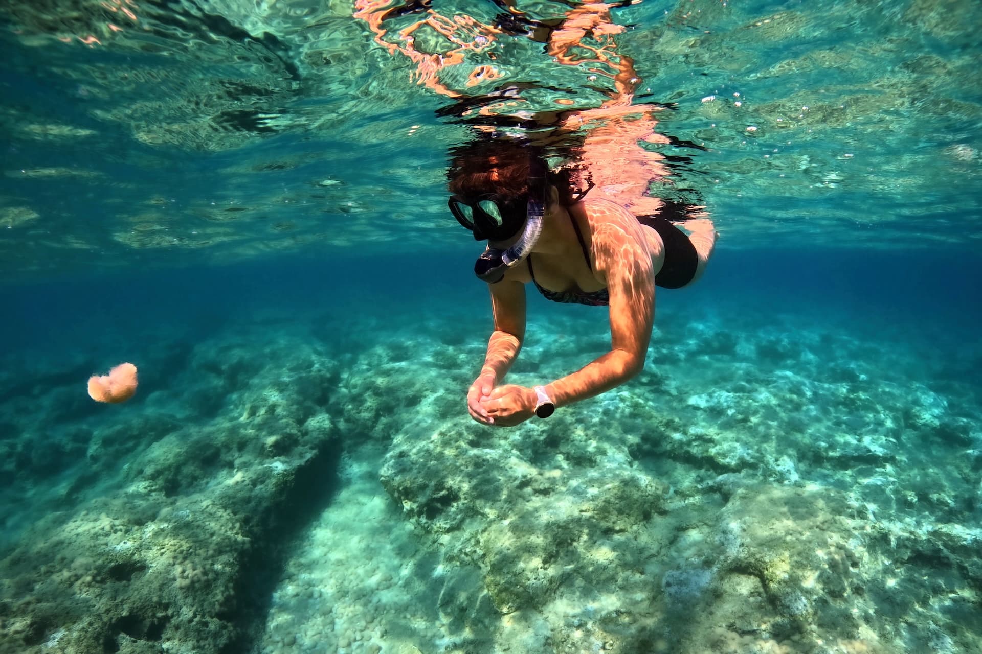 Snorkeler swimming above rocky seabed with clear blue water near Zirje Island.