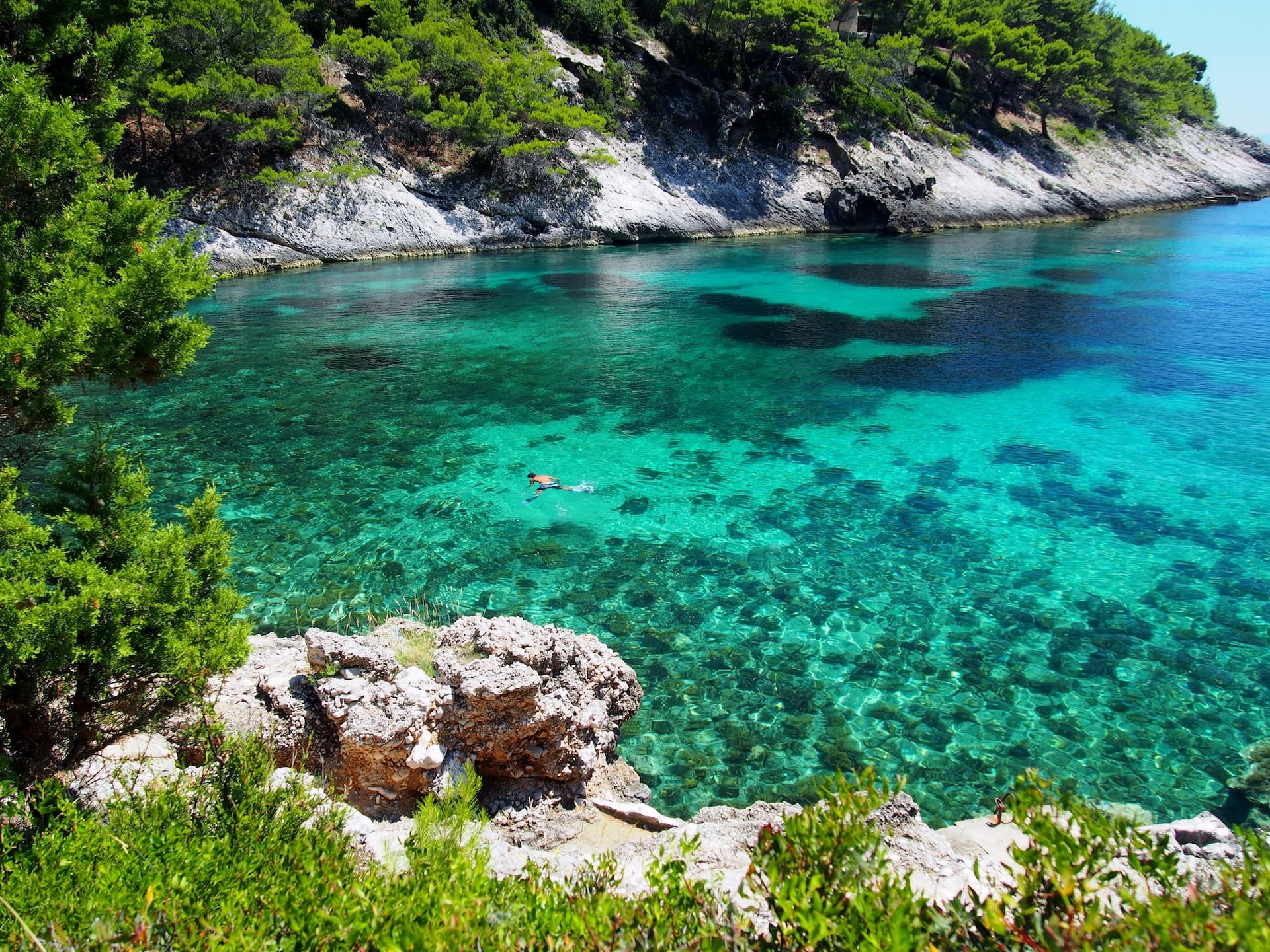 Snorkeler in turquoise Korcula Island cove with rocky, tree-lined coast.